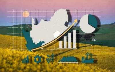 Western Cape 2025/26: What Comes Back, What’s Spent Here — and What Doesn’t